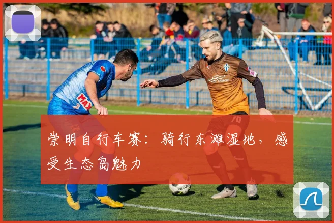 崇明自行车赛：骑行东滩湿地，感受生态岛魅力