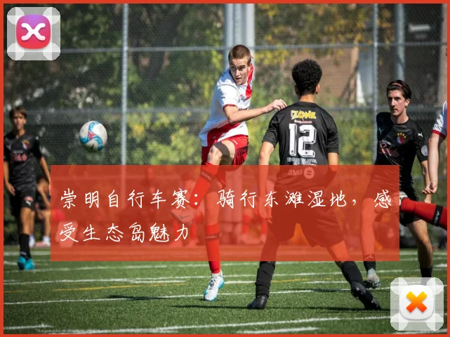 崇明自行车赛：骑行东滩湿地，感受生态岛魅力